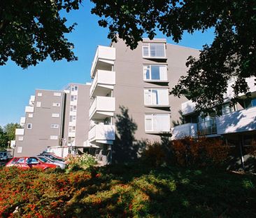 Rijtse Akkers, 82 - Foto 1