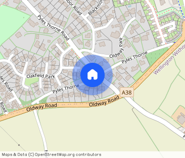 Pyles Thorne, Wellington, Somerset, TA21 - Photo 1