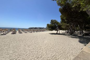 6 Carrer Emili Darder, Palma Nova, Balearic Islands 07181