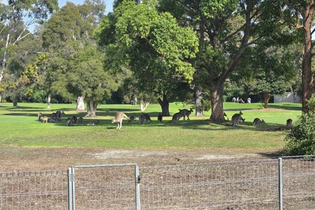 Life on the Fairway - Photo 4