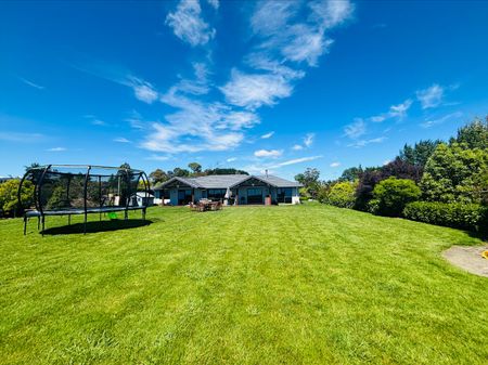 185 Ridgeview Road, Richmond, Tasman - Photo 5