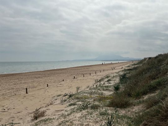 Piso de alquiler en Carrer de Roderic de Osona, 114, Oliva Nova - Photo 1