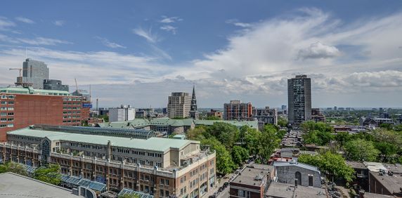 Appartement 1 chambre à louer Montréal (Centre-Ville) à 1420 St Mathieu - Photo 2