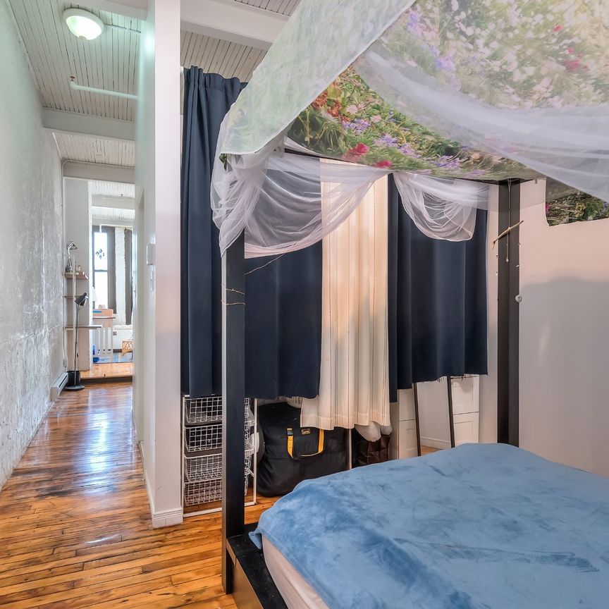 Condo for rent, Montréal (Le Plateau-Mont-Royal) - Photo 1