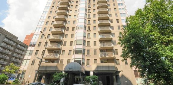 Top floor (12th) Fully-furnished penthouse $1,800/month Montreal - Condo / apartment for rent Ville-Marie - Photo 2