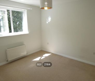 4 bedroom property to rent - Photo 4