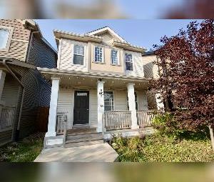 3 Bed 2.5 Bath Dbl Garage Home for Rent Edgemont - Photo 6