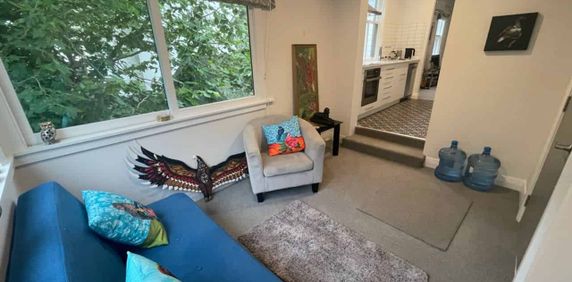Fully renovated 2 bed, 2 living on Tinakori Road - Photo 2