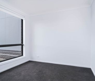 Architect Inspired - Family Living in the Heart of Bellbird - Photo 3