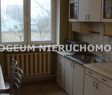Dom na wynajem - Zdjęcie 6