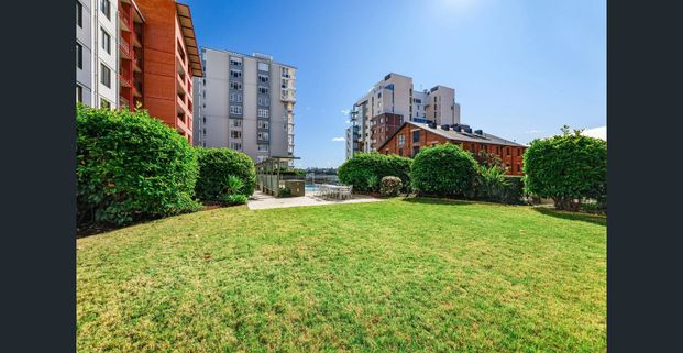 Peaceful Courtyard Living in Jacksons Landing - Photo 1