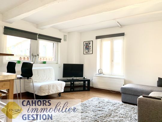 Location Appartement 1 pièce 25m² CAHORS 46000 - Photo 1