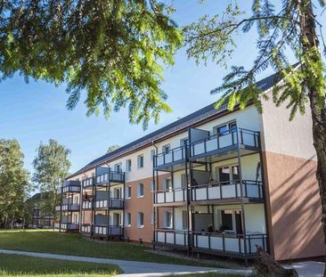 Barmbeker Ring 12, 21502 Geesthacht OT Oberstadt - Photo 4