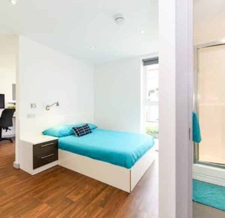 Studio Gold Plus - Photo 5