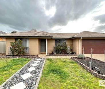 13 Condamine Street - Photo 1