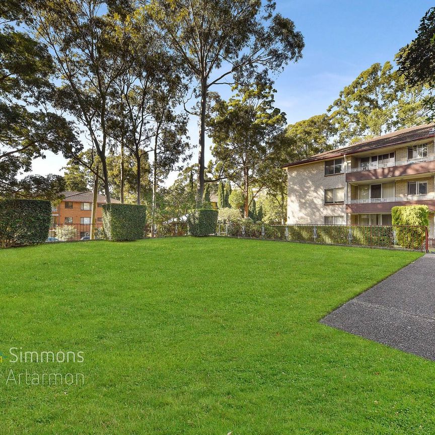 33/8 Buller Road, Artarmon NSW 2064 - Apartment For Rent | Domain - Photo 1