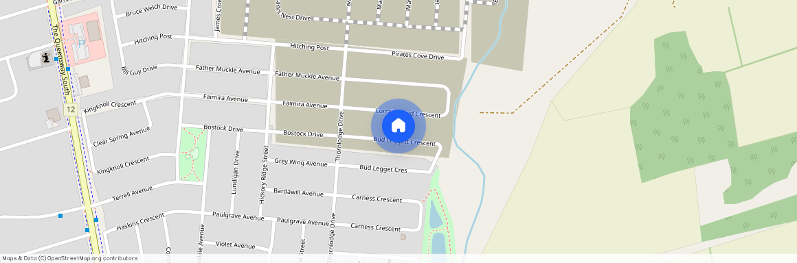 56 Bud leggett Cres Crescent Unit# room, Georgina
