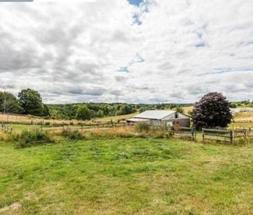 For Lease - 16804 Centreville Creek Road, Caledon, Ontario - Photo 4