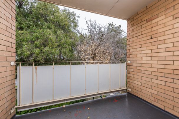 11/24 Seventh Avenue, Maylands WA 6051 - Apartment For Rent | Domain - Photo 1