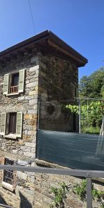 TRANQULLA E SPAZIOSA CON GIARDINO - Foto 4