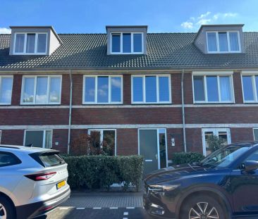 Waterhoen 5 - Photo 3