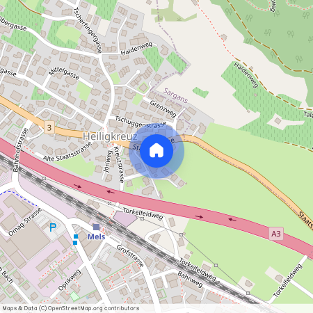 8888, Heiligkreuz (Mels), Alte Staatsstrasse, 9