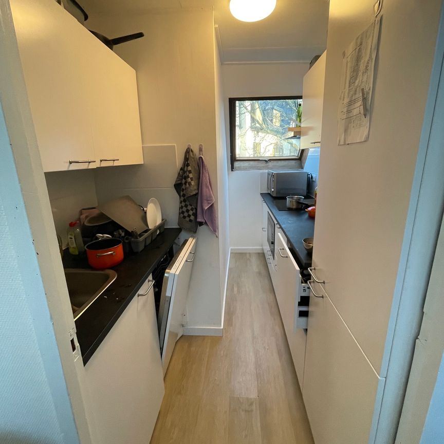 9, Zuiderpark, Oosterpoort, Zuid, Groningen, Nederland, 9724 AE, Nederland - Foto 1