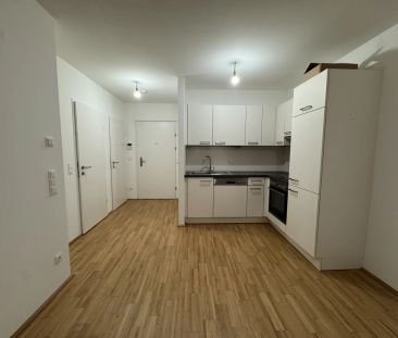 Neubauhit im 20. Bezirk - Hochwertiger 2. Bezug - Ab sofort verfügbar! - Photo 4