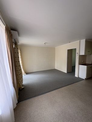 Central Spacious One-bedroom unit - Victoria - Photo 1