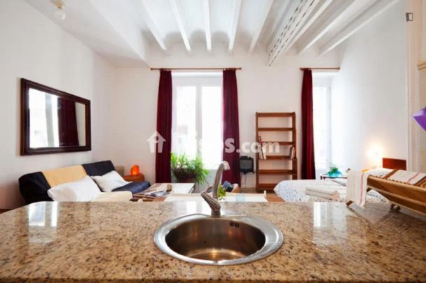 Estudio en alquiler en El Barri Gòtic - Foto 1