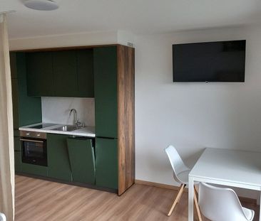Pronájem bytu 1+1 • 28 m² bez realitky, Bádensko-Württembersko - Photo 5