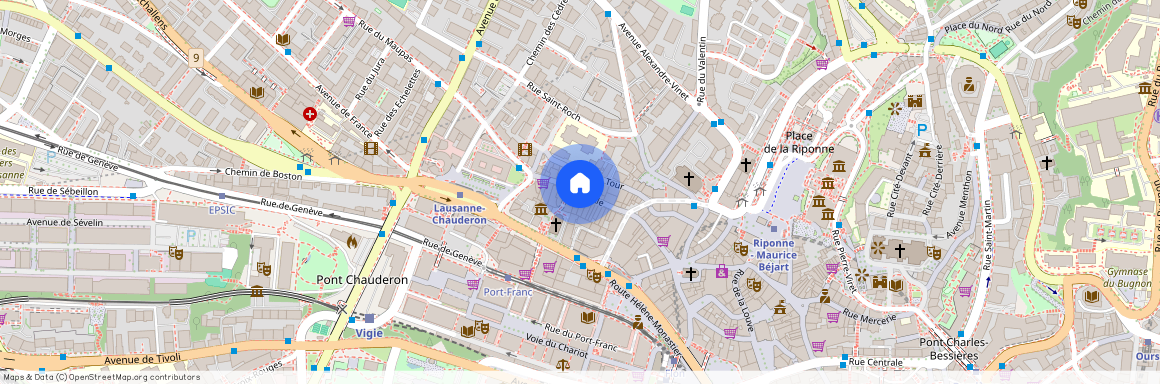 1003, Lausanne, Rue de l'Ale