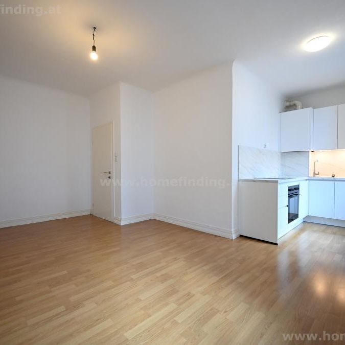 beim Alois Drasche Park: 2-Zimmerwohnung I befristet - Foto 1