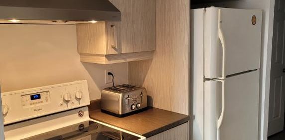 TRÈS GRAND 4 1/2 EN COIN, ENTIÈREMENT RÉNOVÉ, 1295$/MOIS(CHAUFFÉ-EAU CHAUDE), DISPONIBLE À PARTIR DE OCTOBRE OU NOVEMBRE - Photo 2