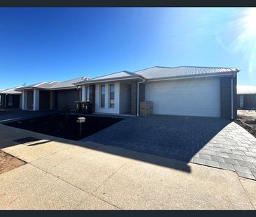 25 Corymbia Ave, Riverlea Park, SA 5120 - Photo 6