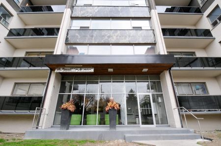 Dowling Court - Photo 2