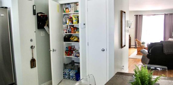 Beauport, 4 1/2 libre, frais peint, insonorisé - Photo 2