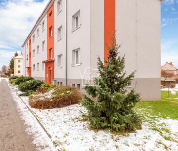 Pronájem 2+1 Kostelec nad Orlicí - Fotografie 1