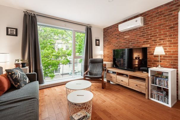 1123 Rue Marie-Anne E., app.204, H2J 2B6, H2J 2B6, Montréal - Photo 1