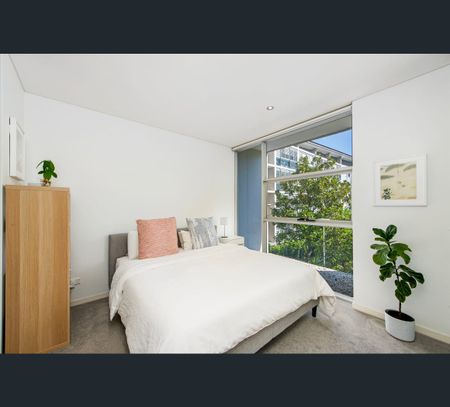 55/4 Alexandra Drive, Camperdown, NSW 2050 - Photo 5