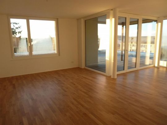 Moderne 4.5-Zimmer-Attika-Wohnung mit grosser Dachterrasse - Foto 1
