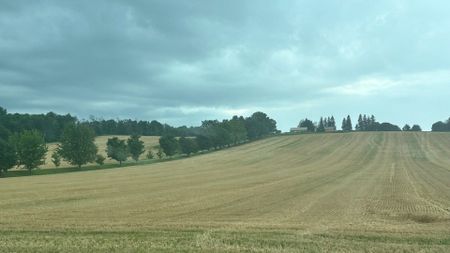 For Lease - 121 Mary Street Unit# 306, Clearview, Ontario - Photo 3