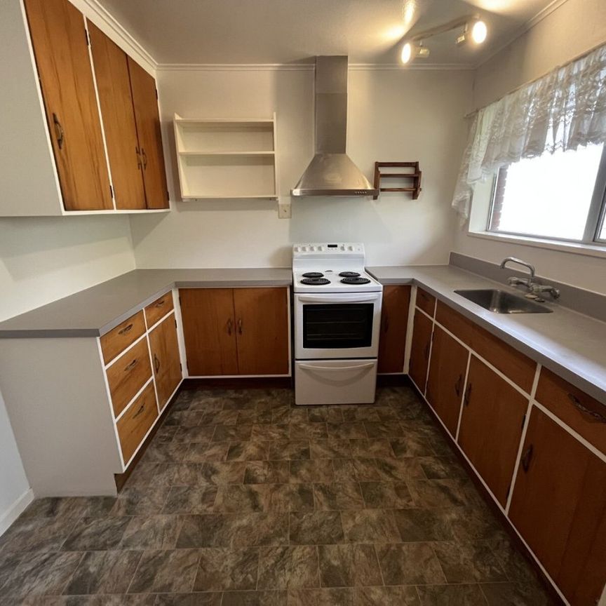 71B Havill Street, Takaro, Palmerston North - Photo 1