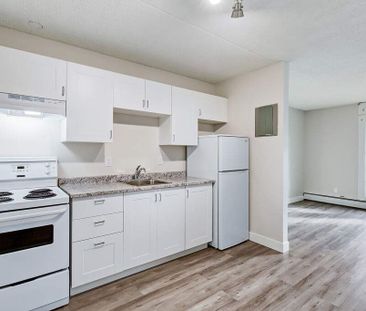 Renovated Suite - 2 Bedroom - Photo 6