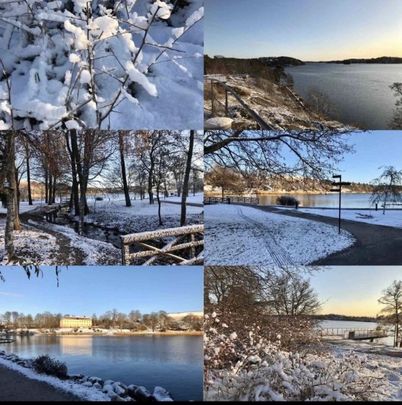 Sollentuna - 1rok - tillsv - 10.500kr/mån - Photo 1