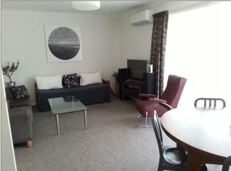 Merivale Unit Across The Road From Hagley Park - Photo 4