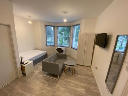 Studio Flat, Goldstone Villas, BN3 - Photo 3