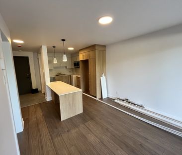 Appartement Neuf Bois-des-Filion 3 1/2 - Photo 1