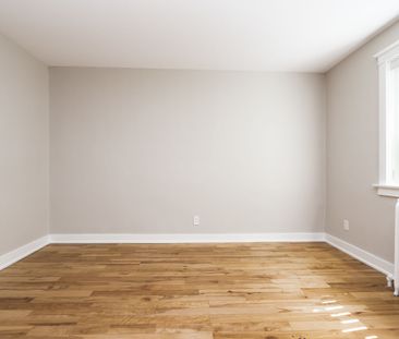 54 Maitland Street - Photo 2