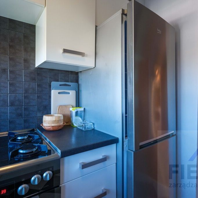 Szczecin ul. Wilcza - Zdjęcie 1